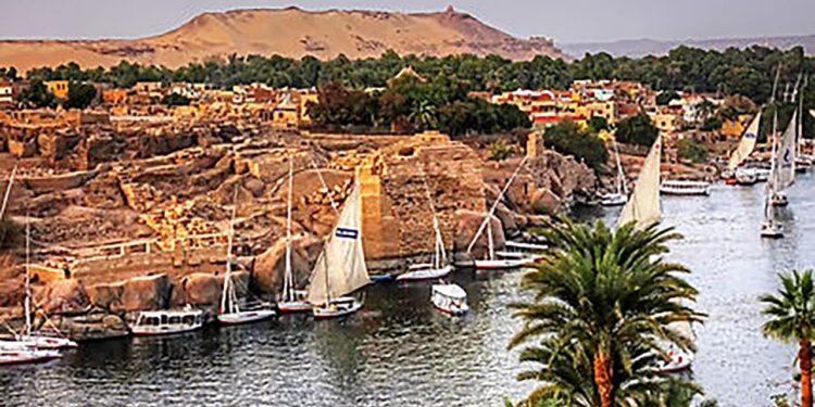 Assouan : Le développement de la campagne va bon train 2 - Le Progrès Egyptien Assouan : Le développement de la campagne va bon train 1 - Le Progrès Egyptien