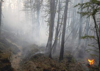 Les pompiers russes face aux feux sibériduns