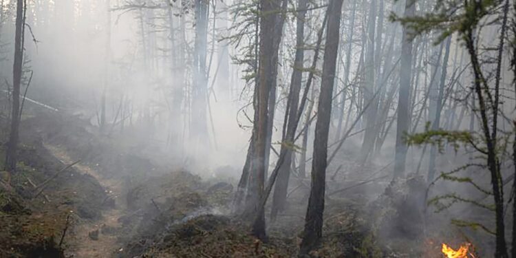 Les pompiers russes face aux feux sibériduns 1 - Le Progrès Egyptien