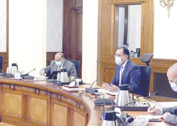 Madbouli examine le projet de “logement décent”