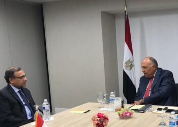 GERD : Choucri se réunit avec le délégué indien auprès des Nations Unies