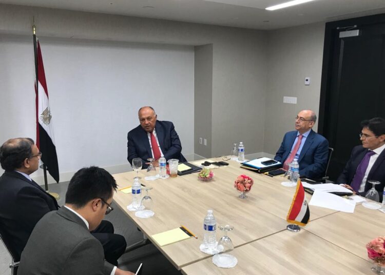 GERD : Choucri se réunit avec le délégué indien auprès des Nations Unies