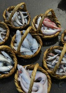 Quand les détails prennent sens 4 - Le Progrès Egyptien Quand les détails prennent sens 3 - Le Progrès Egyptien