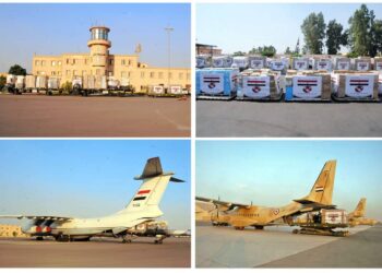 L’Egypte dépêche une aide médicale à la Tunisie