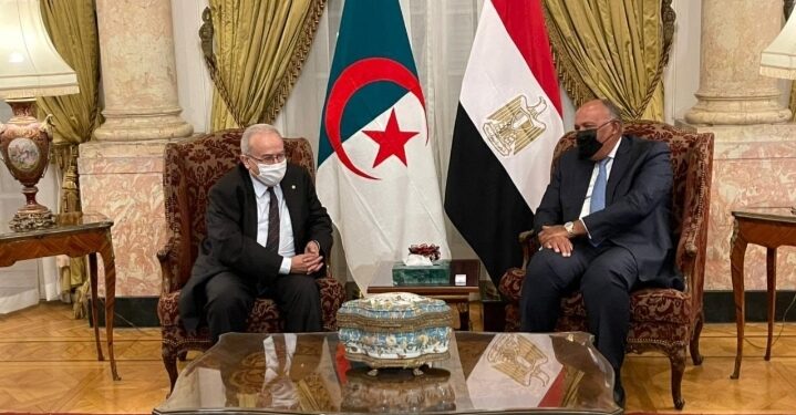 Choucri reçoit Lamamra 1 - Le Progrès Egyptien