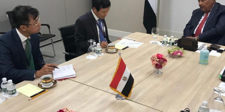 Choucri s'entretient avec le délégué du Vietnam auprès du Conseil de sécurité 1 - Le Progrès Egyptien