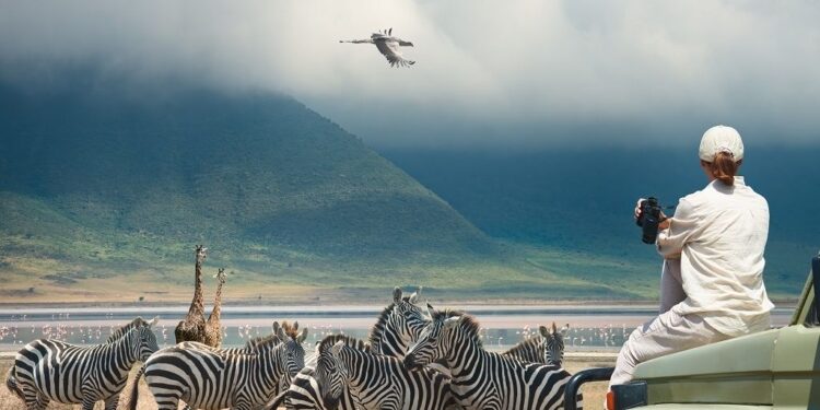 L’Afrique veut développer son potentiel touristique 1 - Le Progrès Egyptien