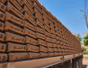 Nous bâtissons le progrès en faveur des personnes et de la planète 9 - Le Progrès Egyptien