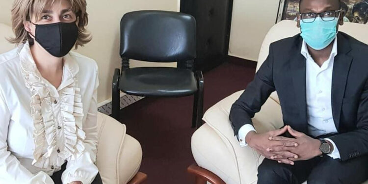 Bénin un nouveau débouché pour les médicaments égyptiens 1 - Le Progrès Egyptien