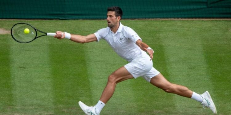 Wimbledon : Djokovic face à la jeune garde 2 - Le Progrès Egyptien Wimbledon : Djokovic face à la jeune garde 1 - Le Progrès Egyptien