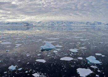 Antarctique : Record de chaleur