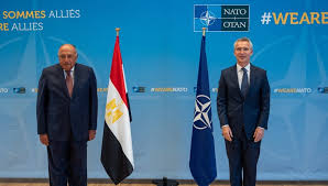 Choucri lors de sa rencontre avec le SG de l’OTAN