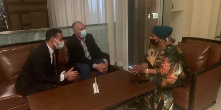 Le ministre de l'Irrigation arrive à Kinshasa 1 - Le Progrès Egyptien