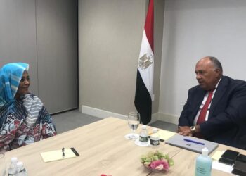 GERD : L’Egypte et le Soudan se préparent pour la séance du Conseil de Sécurité