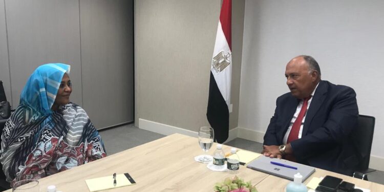 GERD : L'Egypte et le Soudan se préparent pour la séance du Conseil de Sécurité 1 - Le Progrès Egyptien