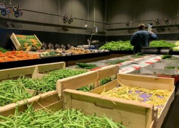 France : Les fruits et légumes redescendent à des prix pré-pandémie