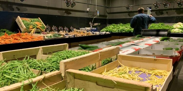 France : Les fruits et légumes redescendent à des prix pré-pandémie 2 - Le Progrès Egyptien France : Les fruits et légumes redescendent à des prix pré-pandémie 1 - Le Progrès Egyptien