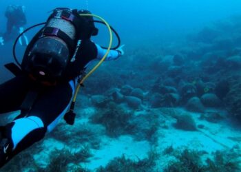 Grèce :  Au musée sous-marin d’Alonissos, “on plonge dans l’histoire”
