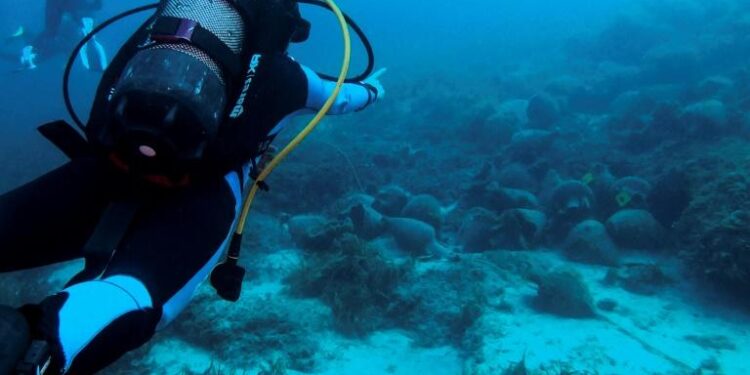 Grèce : Au musée sous-marin d’Alonissos, “on plonge dans l’histoire” 1 - Le Progrès Egyptien