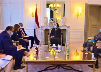 Le Caire et Paris intensifient leur coopération commerciale