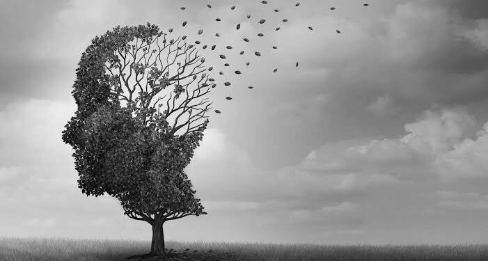 Alzheimer : Des dépôts de fer et de cuivre découverts dans le cerveau 2 - Le Progrès Egyptien Alzheimer : Des dépôts de fer et de cuivre découverts dans le cerveau 1 - Le Progrès Egyptien