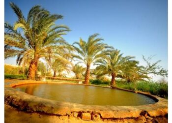 Une excursion écologique pour la jeune génération