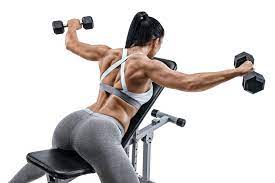 Travail du dos complet