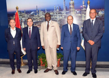 Entretien sur les opportunités de coopération avec la Société Financière Africaine