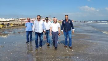 Nappe d’huile à Port-Saïd : Fin des opérations de nettoyage