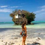 L’Afrique, destination d’une “Lune de miel” de rêve 14 - Le Progrès Egyptien L’Afrique, destination d’une “Lune de miel” de rêve 13 - Le Progrès Egyptien