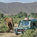 L’Afrique, destination d’une “Lune de miel” de rêve 12 - Le Progrès Egyptien L’Afrique, destination d’une “Lune de miel” de rêve 11 - Le Progrès Egyptien