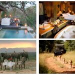 L’Afrique, destination d’une “Lune de miel” de rêve 8 - Le Progrès Egyptien L’Afrique, destination d’une “Lune de miel” de rêve 7 - Le Progrès Egyptien