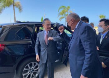 Pourparlers égypto-chinois sur la coopération bilatérale