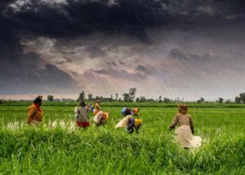 Agriculture :  Accroître les exportations agricoles