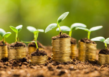 Changement climatique : Concilier économie et écologie