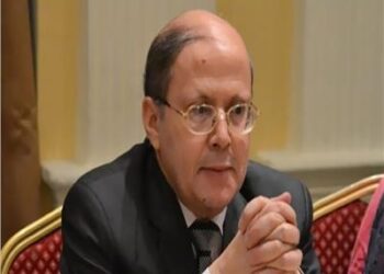 Le plan de Kaïes Saïed