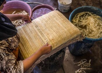 Papyrus, souvenir préféré des touristes