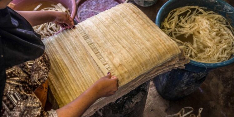 Papyrus, souvenir préféré des touristes 1 - Le Progrès Egyptien