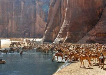 Paysages magnifiques