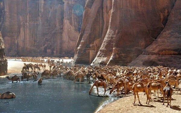 Paysages magnifiques 1 - Le Progrès Egyptien