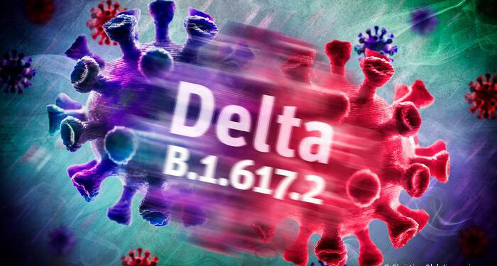 Les symptômes Delta sont similaires aux allergies 1 - Le Progrès Egyptien