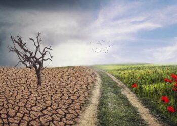 Dérèglement climatique : La planète ne tient pas le bon cap