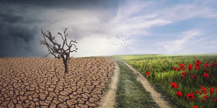 Dérèglement climatique : La planète ne tient pas le bon cap 1 - Le Progrès Egyptien