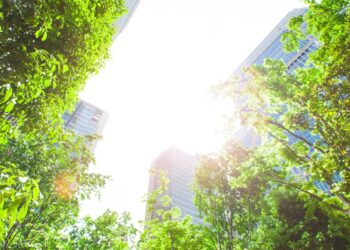 Concilier biodiversité et urbanisation