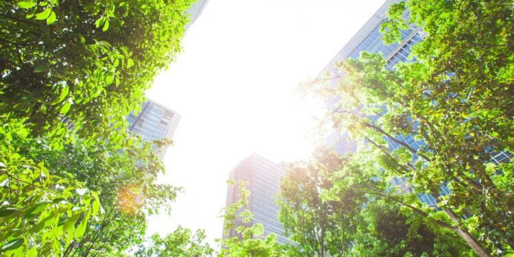 Concilier biodiversité et urbanisation 1 - Le Progrès Egyptien