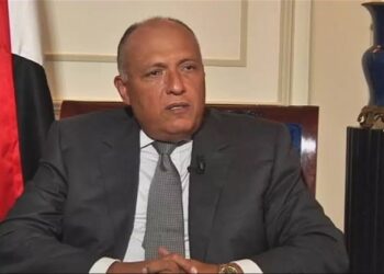 Choucri discute avec ses homologues de l’Algérie et du Maroc des moyens de surmonter les récents développements