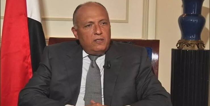 Choucri s'entretient mercredi avec les ministres des AE du Soudan du sud et de la Namibie 1 - Le Progrès Egyptien