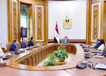 Al-Sissi : Créer une génération saine et bien éduquée