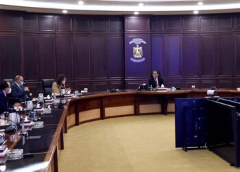 Le projet de développement de la famille sous examen