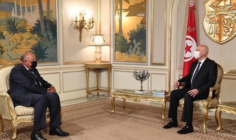 Le président tunisien reçoit Choucri au palais présidentiel de Carthage 2 - Le Progrès Egyptien Le président tunisien reçoit Choucri au palais présidentiel de Carthage 1 - Le Progrès Egyptien